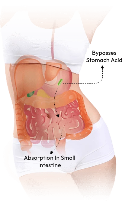 Revive Series  result no.1